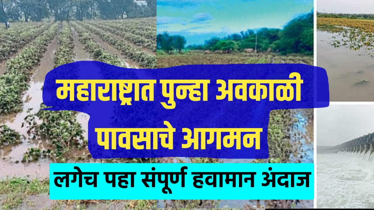 Aajacha havaman aandaj